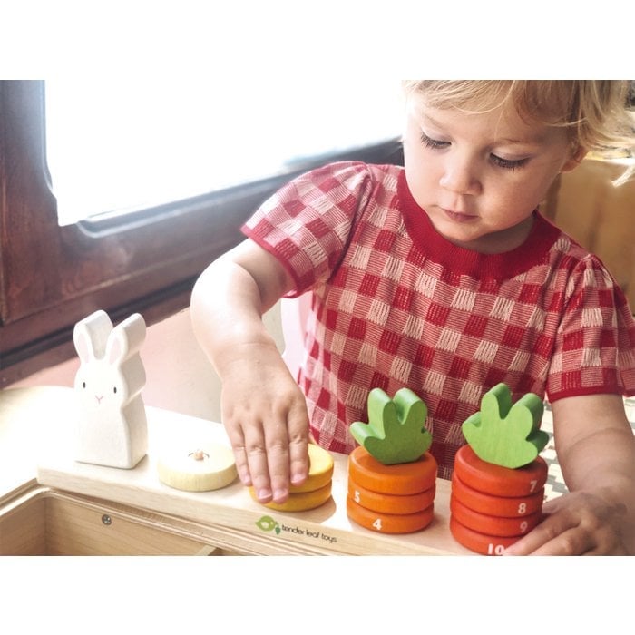 Houten Educatief Speelgoed 